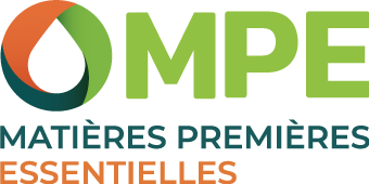 logo 3311.png