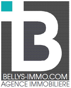 Emploi chez BELLY'S IMMO